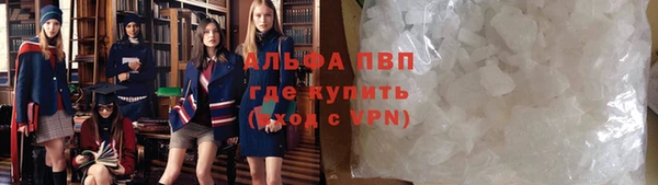 PSILOCYBIN Заводоуковск