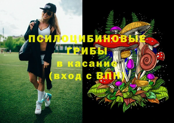 прущая мука Елизово