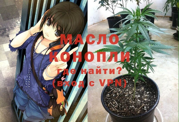 бошки Елабуга