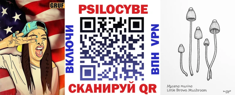 Купить закладки  Набережные Челны  Галлюциногенные грибы GOLDEN TEACHER 